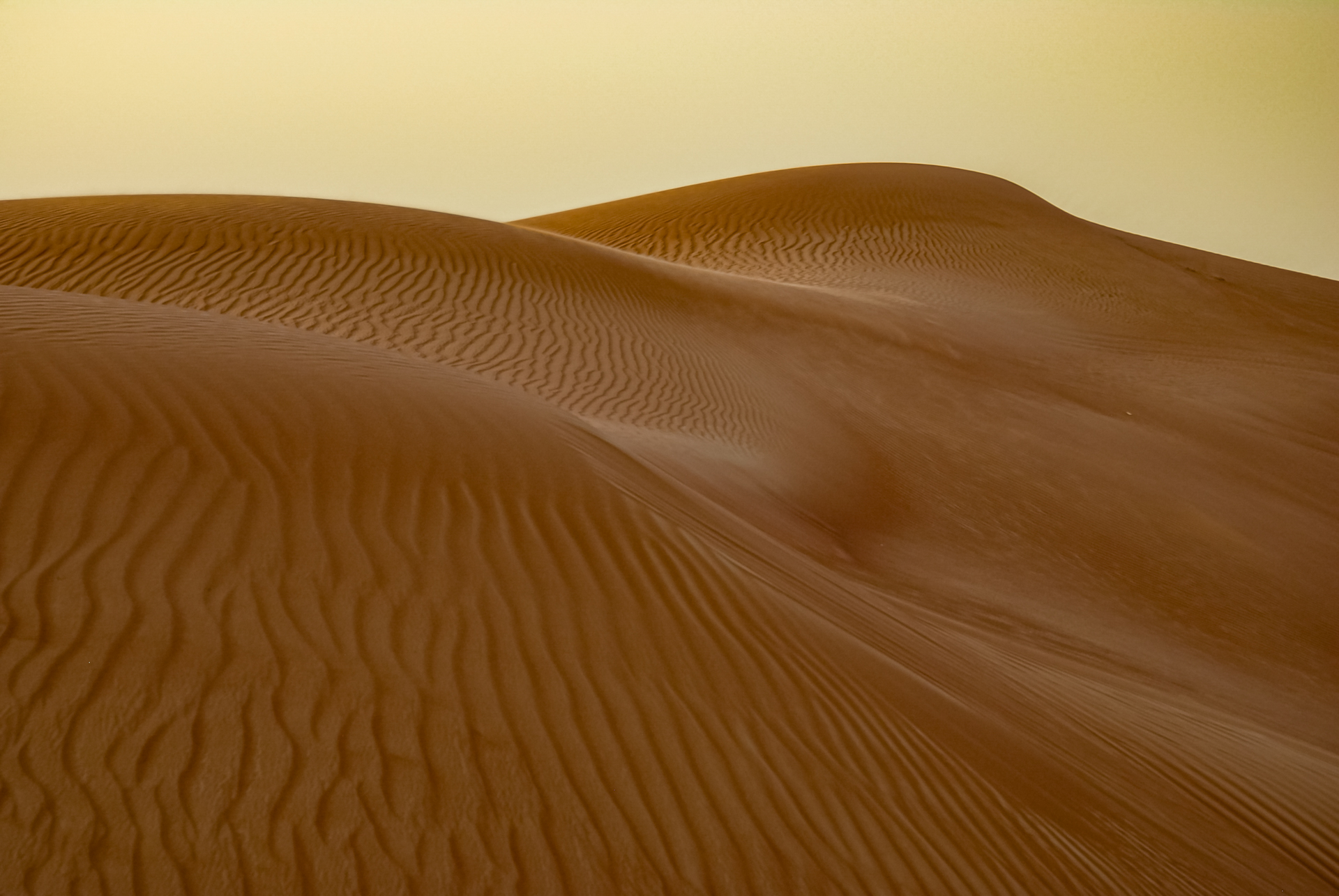 Dune de sable dans le désert de Dubai